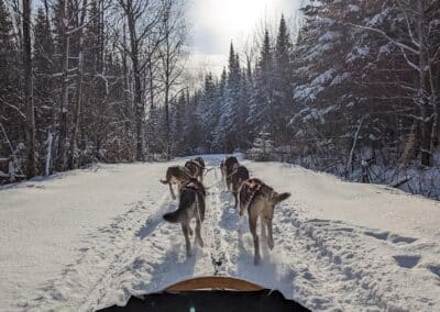 Traineau à chiens | D-Tour