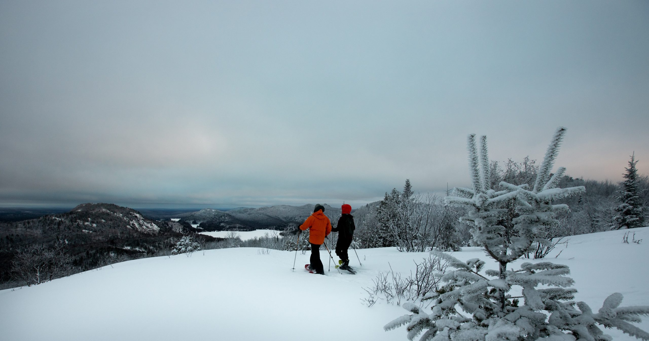 Raquette montagne verte Mont-Tremblant - activités | D-Tour