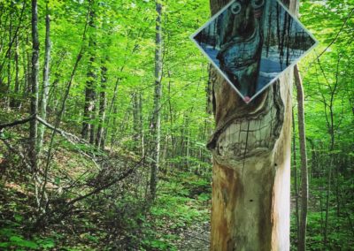 hiking montagne Verte - activity | D-Tour