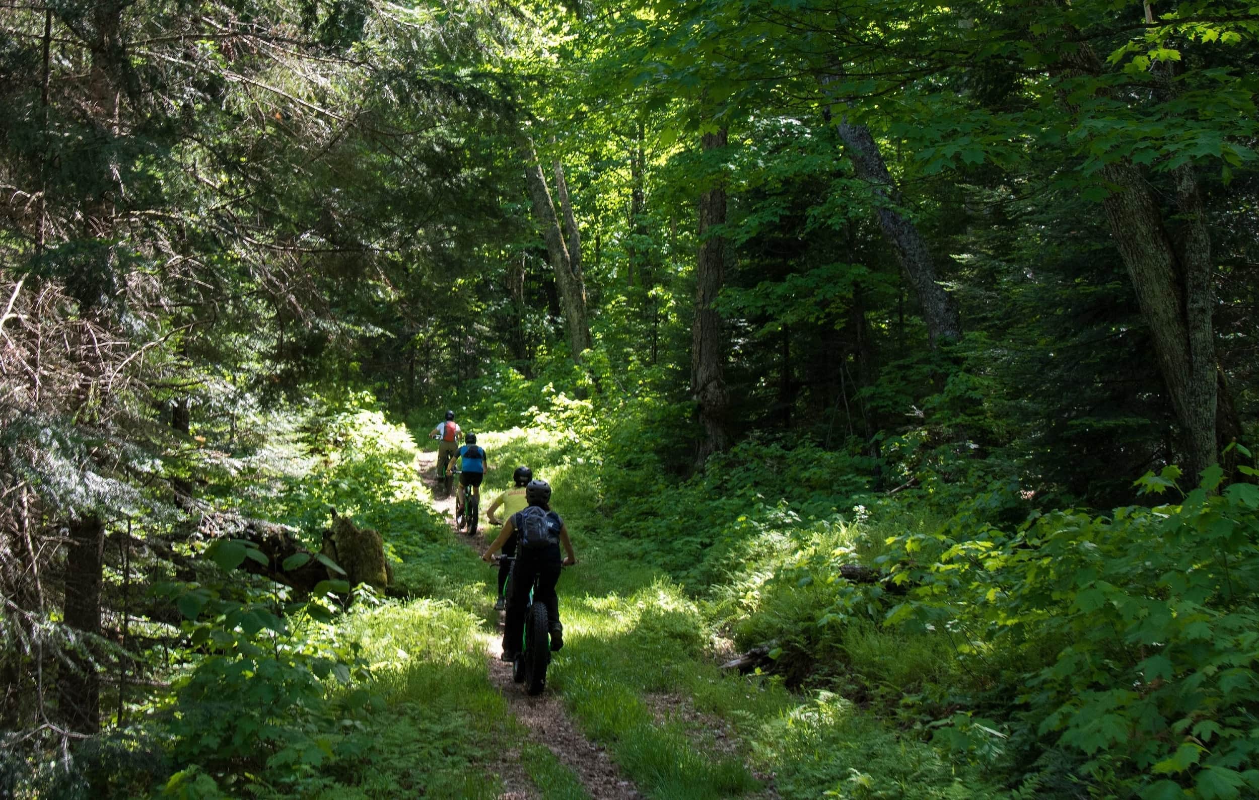 e-bike parc national Mont-Tremblant - activités | D-Tour