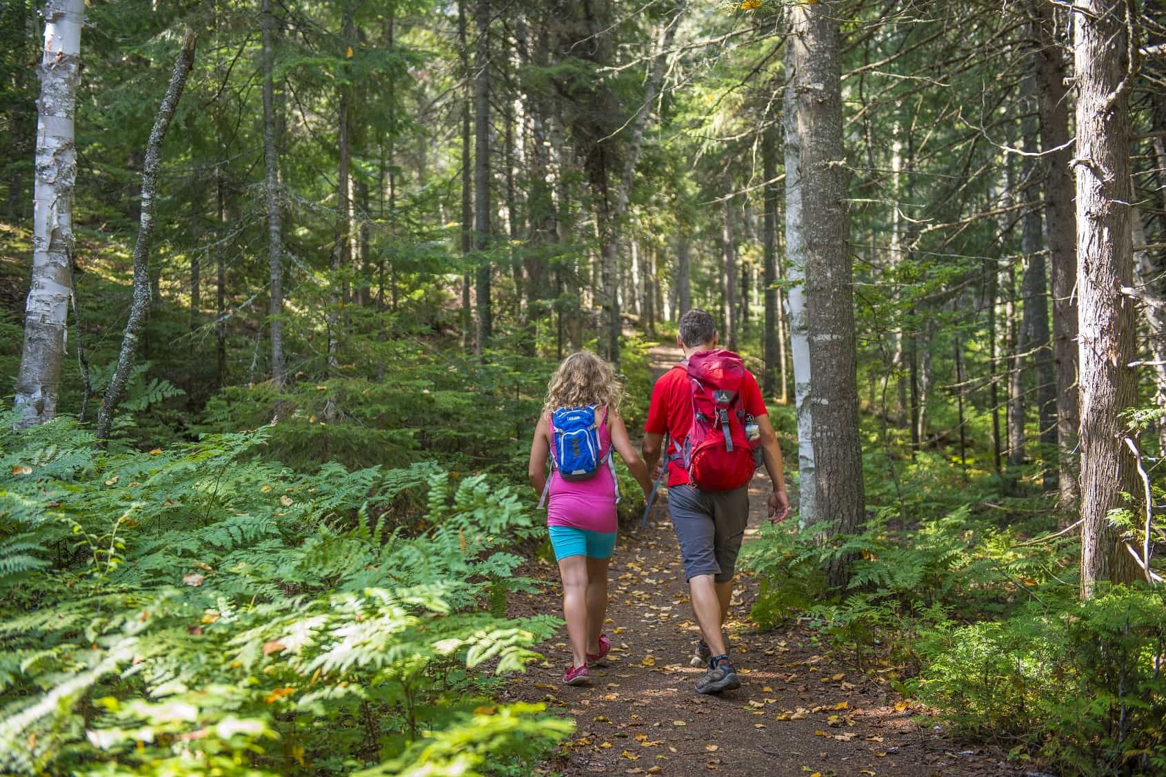 Randonnée guidée Mont-Tremblant | D-Tour