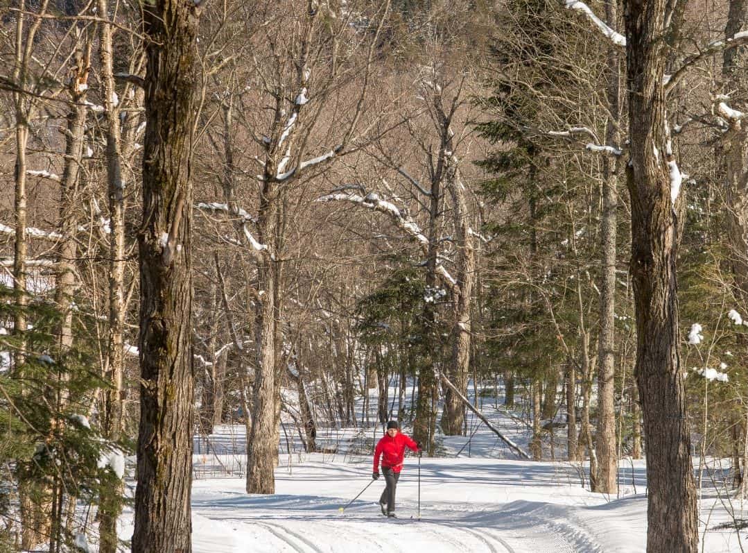 cross-country skiing Mont-Tremblant National Park