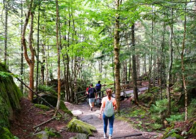 Randonnée guidée parc national | Guide D-Tour