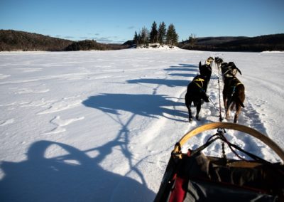 dog sledding Mont-Tremblant - activity | D-Tour