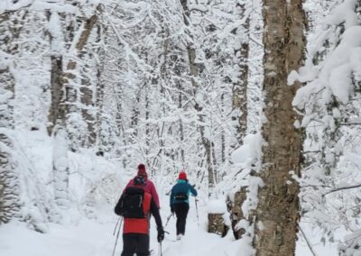 Excursion guidée | Routes Blanches parcours Nord | D-Tour