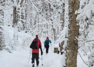 Excursion guidée | Routes Blanches parcours Nord | D-Tour