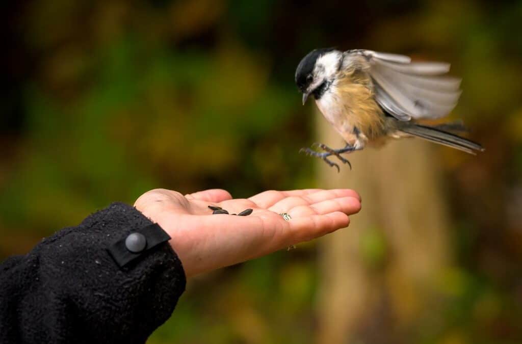 Une Randonnée Inoubliable au Domaine Saint-Bernard avec D-Tour et ThisIsMayberry : L’Automne dans les Laurentides