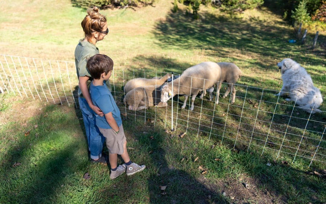 farm visit mont-tremblant