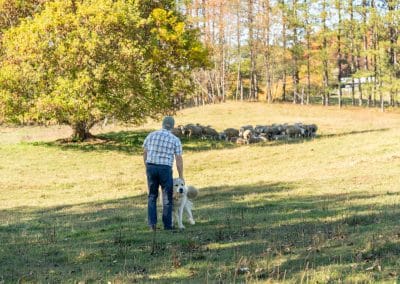 Circuit agro-gourmand | D-Tour