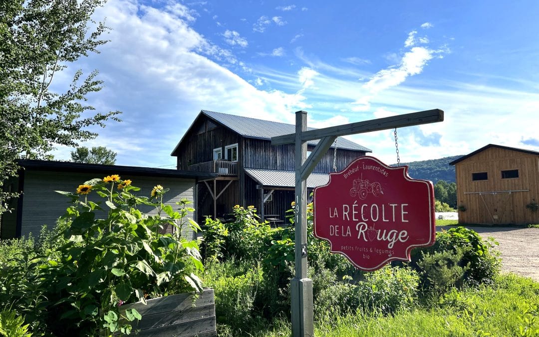 Du champ à la ruche : une immersion gourmande au cœur du terroir des Laurentides