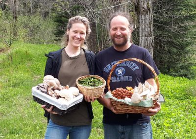 cueillette champignons sauvages Laurentides