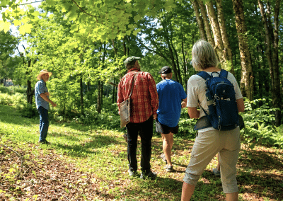 Visite_foret_nouriciere_degustation_dtour